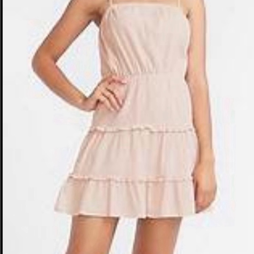 Express Light Pink Pleated Dress